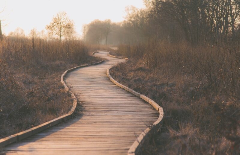 Why I Keep Returning to the Same Walking Path at Dusk